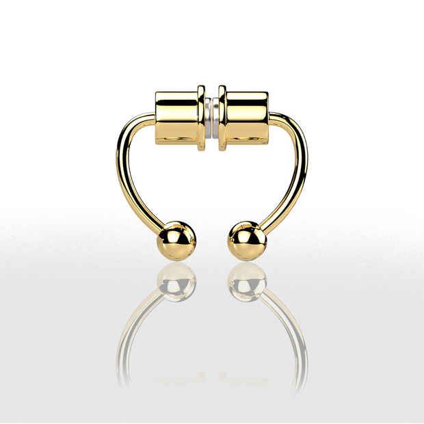 Faux Piercing Magnétique pour Nez - Chevillère Bijoux