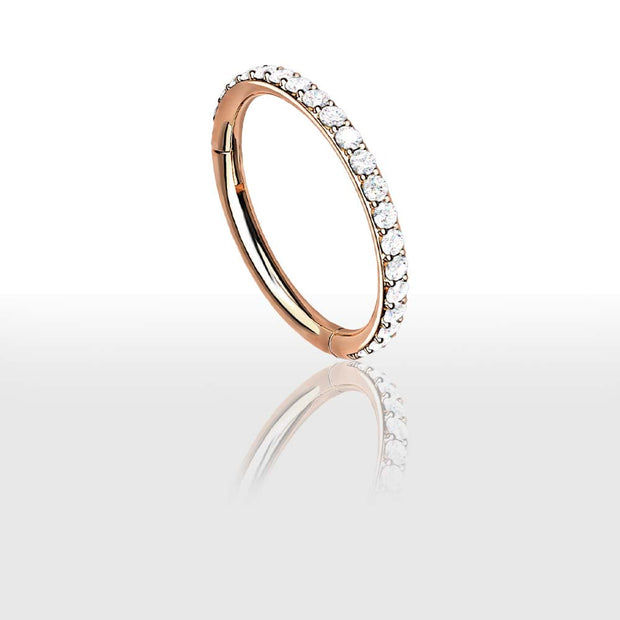 Ensemble  de Piercings pour le Cartilage de 'Oreille - Chevillère Bijoux