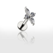 Bijou Stud pour Tragus - Chevillère Bijoux