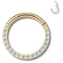 Piercing Genital Anneau Or & Diamants