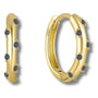Piercing Genital Anneau Or Noir